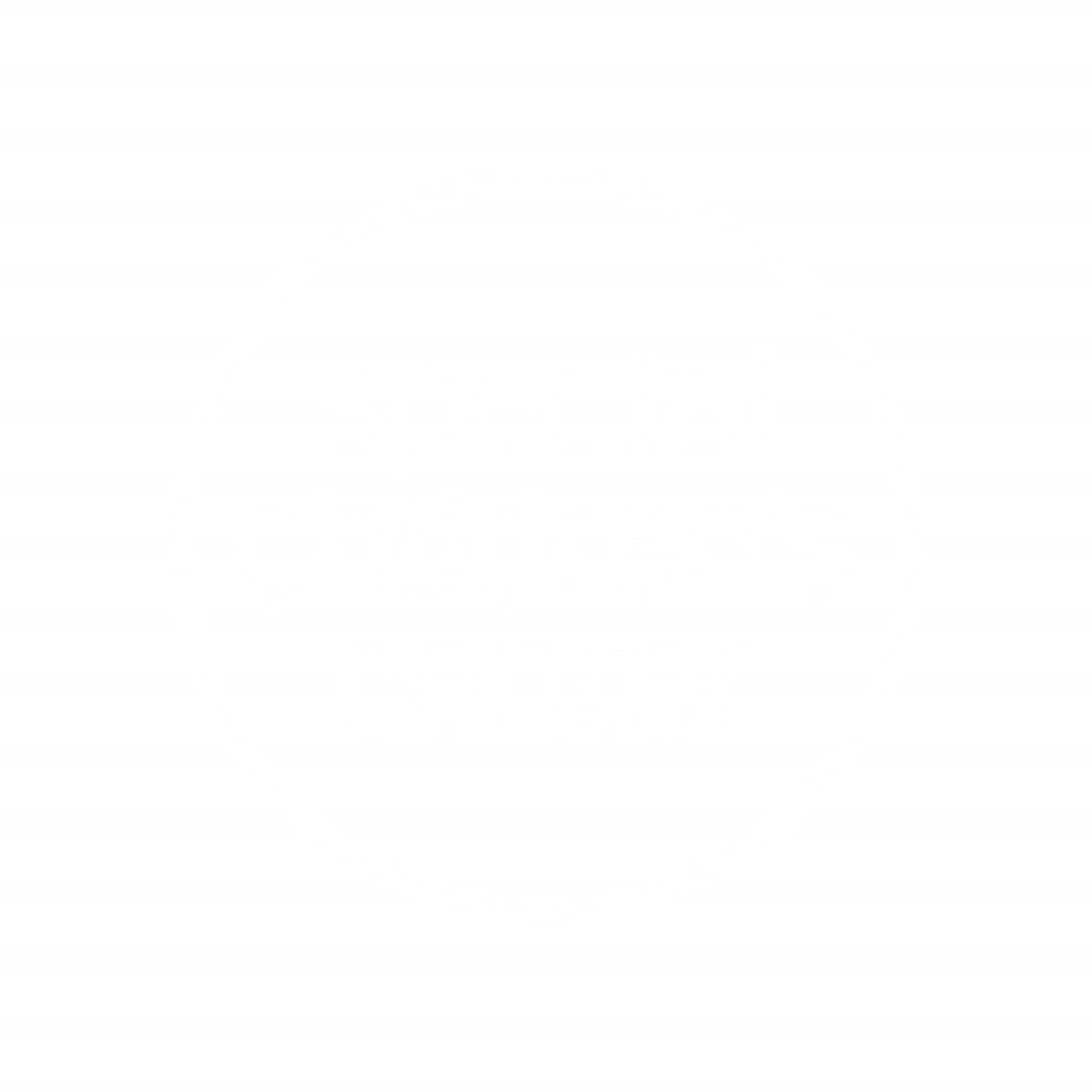 Logo Footer